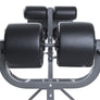 Element Fitness Glute Ham Developer (GHD) Machine
