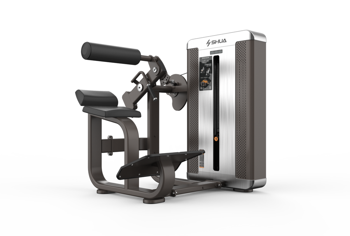 Shua G8812 Back Extension selectorized machine, studio render 3 of 4