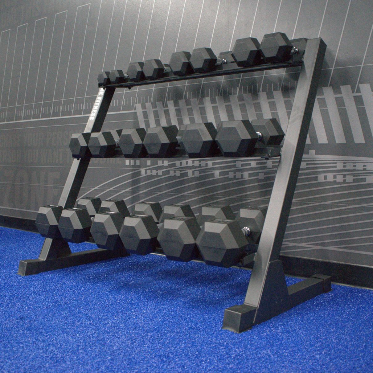 Gronk Fitness hex dumbbell set and 3-tier rack — side profile
