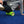 Gronk Fitness Green Foam Roller