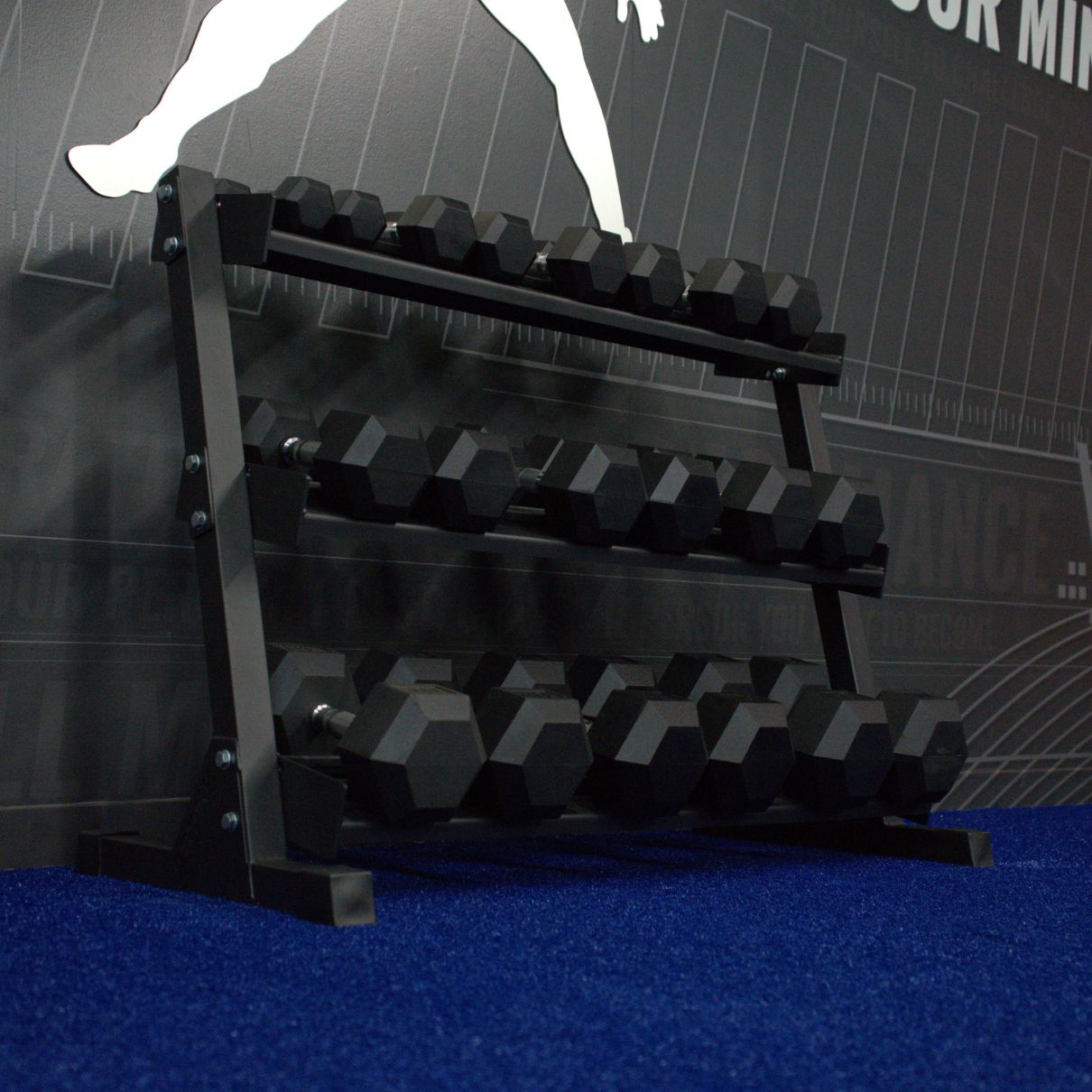 Gronk Fitness 3-Tier Dumbbell Storage Rack Gronk Fitness Products Dumbell racks, power block stand, plate and bar storage, kettlebell racks, ball racks gronkfitness_3-tier-dumbbell-storage-rack_view-5_461efdfc-973a-40e9-bd9e-17934efc841c
