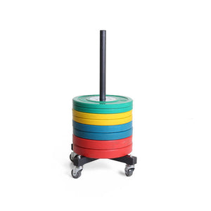 XM Vertical Bumper Plate Storage