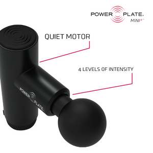 Power Plate Mini Plus Handheld Massager